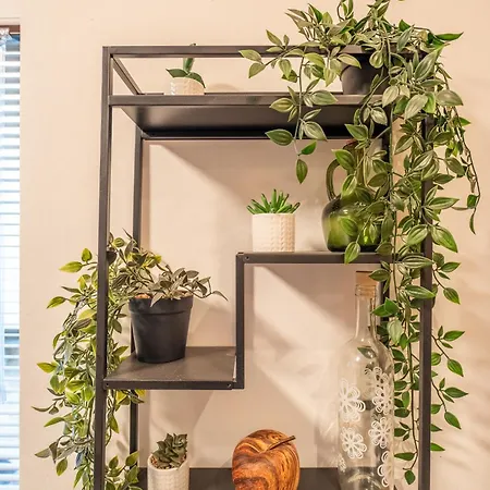 Apartment Bb